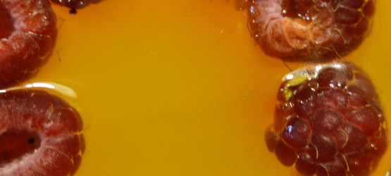 Similar image 21483298