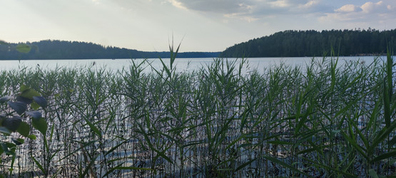 Similar image 21483301