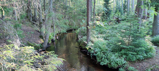 Similar image 21483304