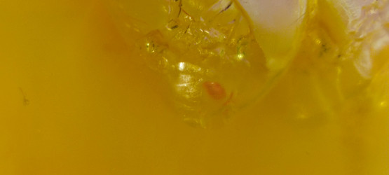 Similar image 21483307