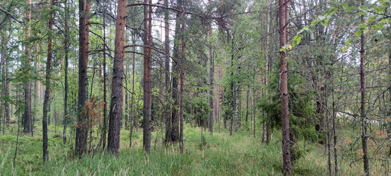 Similar image 21483309