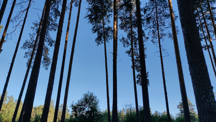 Similar image 21483311