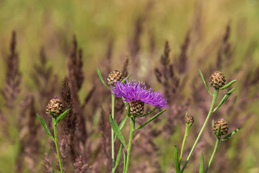 Similar image 21483314