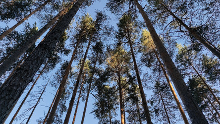 Similar image 21483322