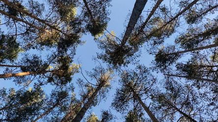 Similar image 21483323