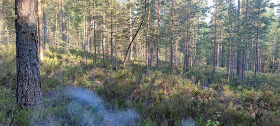 Similar image 21483325