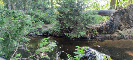 Similar image 21483326