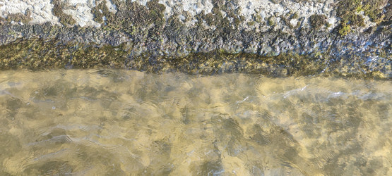 Similar image 21493881