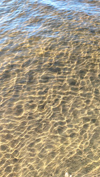 Similar image 21493882