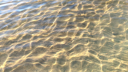 Similar image 21493884