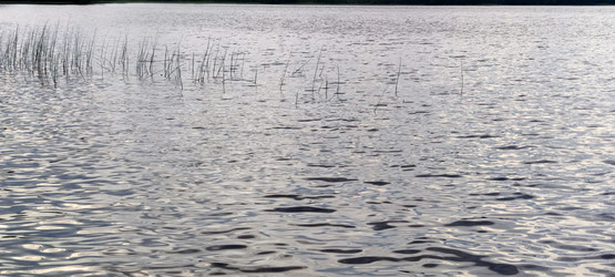 Similar image 21493886