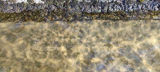 Similar image 21493887