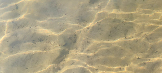 Similar image 21493888