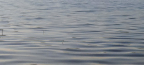 Similar image 21493891