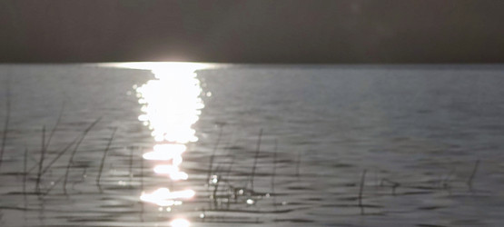 Similar image 21493892