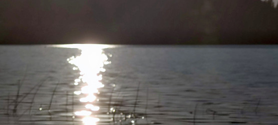 Similar image 21493893