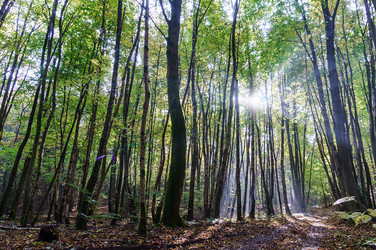 Similar image 21494235