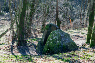 Similar image 21494237