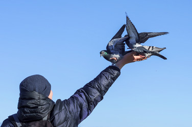 Similar image 21494240