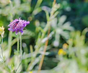 Similar image 21487731