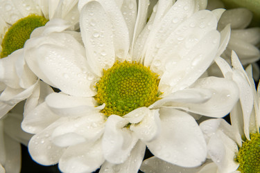 Similar image 21483461