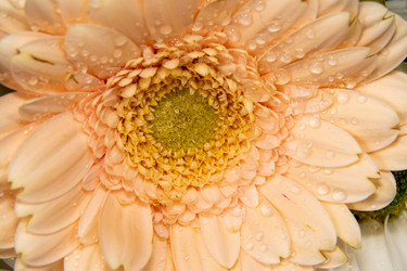 Similar image 21483462