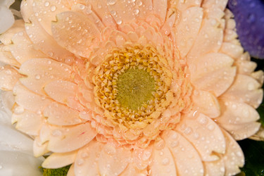 Similar image 21483463