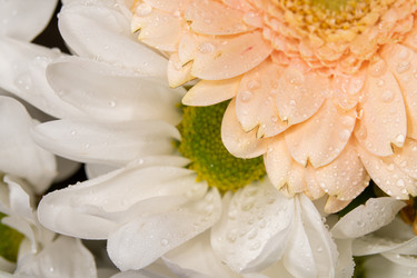 Similar image 21483464