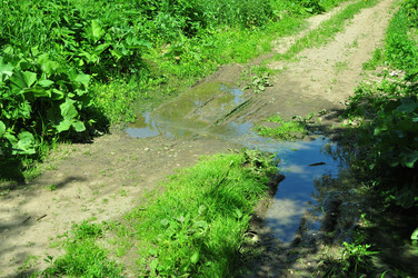 Similar image 21485210