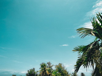 Similar image 21485227