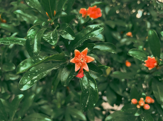 Similar image 21485228