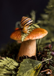 Similar image 21488725