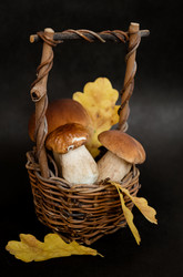 Similar image 21488112