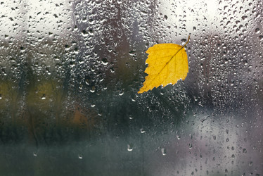 Similar image 21486833