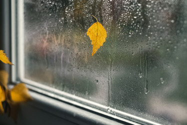 Similar image 21486835