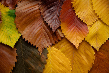 Similar image 21486836