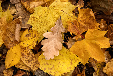 Similar image 21488114