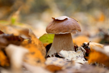 Similar image 21486840