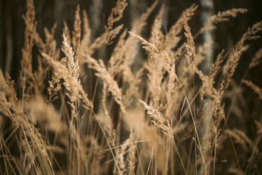 Similar image 21486841