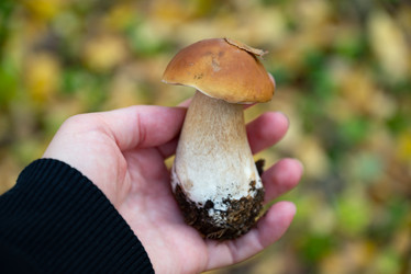 Similar image 21486842