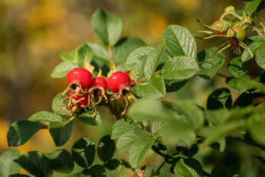 Similar image 21488115