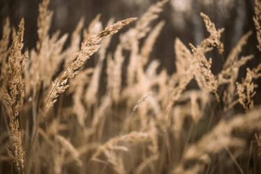 Similar image 21489464