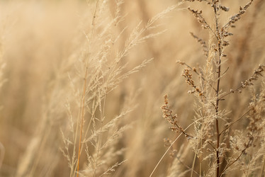 Similar image 21486843