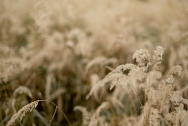 Similar image 21488729