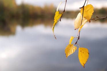 Similar image 21486844