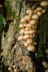 Similar image 21486851