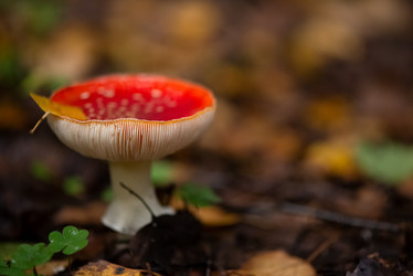 Similar image 21488127