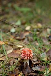 Similar image 21486855