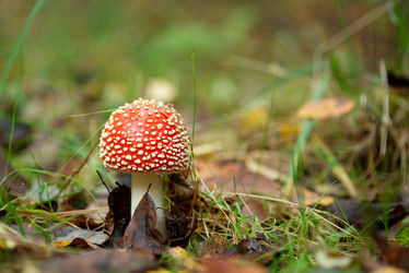 Similar image 21489468