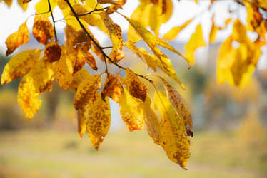 Similar image 21489469